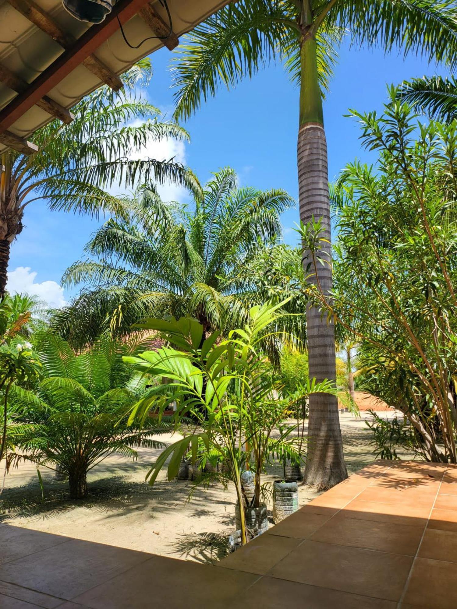 Camping Casamance Ziguinchor Room photo